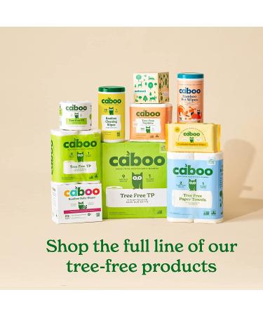 Caboo Bamboo Flushable Wipes 60 Ct Travel Packs (Pack of 3) | Eco-Friendly & Biodegradable | Septic Safe & Certified Flushable | for Adults & Kids - Buy Online on SooperMarket.com