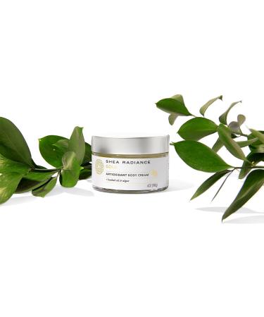 Shea Radiance Baobab Antioxidant Cream & Body Lotion - Unrefined Shea for All Skin Types | Collagen Boosting Hydration | 6oz - International Shipping Available - Buy Online on SooperMarket.com
