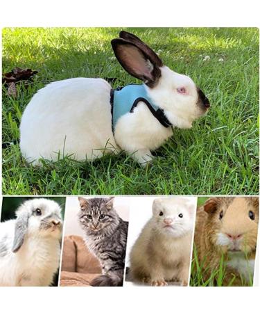 Soft Rabbit Dishes with Leash - Adjustable 2-Piece Mesh Set for Kittens & Pets | Durable & Comfortable - Buy Online on SooperMarket.com