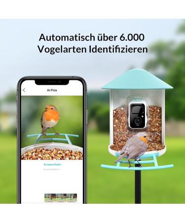 Netvue Bird Feed Donor & Camera - AI-Powered Bird Feeder with Species Detection | Bird House & Feed Stations for Wild Birds - Buy Online on SooperMarket.com