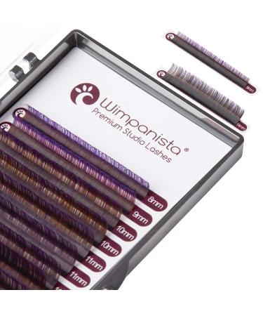 Ombr Lashes Color Violet - Silk Eyelashes C Curl - Thickness 0.07mm in Mix 8-14mm - Volume Lashes - Eyelash Extension - 16 Strips