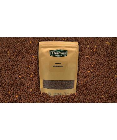 Thames Organic 500g Brown Lentils - High Fiber, High Protein, No Additives, Raw Vegan - Ideal for Soups, Salads, Curries - Nutritious & Flavorful - GMO-Free - Buy Online on SooperMarket.com