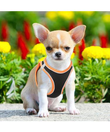 Buy Heele Dog Harness for Small & Medium Dogs - Adjustable Reflective Soft Mesh - Breathable & Comfortable - Perfect for Puppies - 2XS Size - Orange - Buy Online on SooperMarket.com