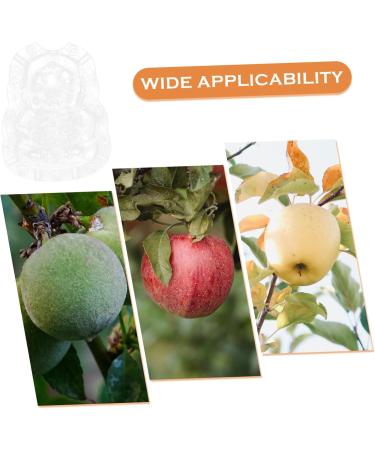 ORFOFE 2pcs Shaped Growth Fruit Buddha Baby Shaper Small Watermelon Accessories - Buy Online on SooperMarket.com