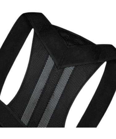 Oshhni Back Brace Lumbar Support Back Correction Belt for Family Adults Teens Women Men L - Buy Online on SooperMarket.com