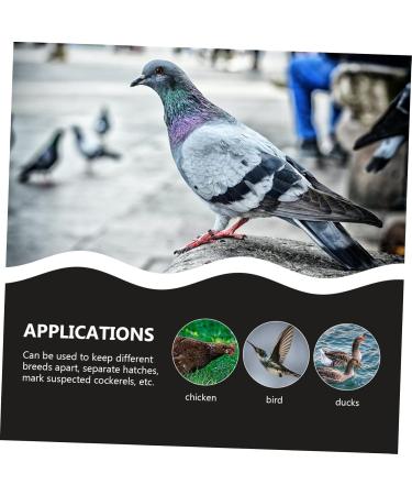Angoily 300 Pcs Pigeon Anklet Duck Oyster Shell for Pigeon Identification Ring Network Management Bayonet 1.3X1.3CMx3pcs Blackx3pcs - Buy Online on SooperMarket.com