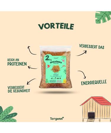 Torgenn Mealworms 2kg - Nutrient-Rich 100% Natural Wild Bird & Fish Food | GVO-Free Additive-Free - Buy Online on SooperMarket.com
