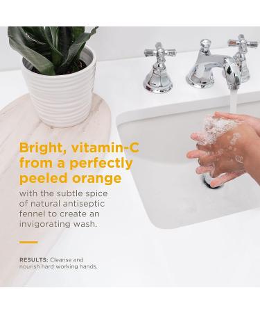 Soapbox Foaming Hand Soap - Orange Zest & Fennel, 11oz Pump Bottles (3 Ct) | Moisturizing, Vegan, Cruelty & Paraben Free Hand Wash - Buy Online on SooperMarket.com