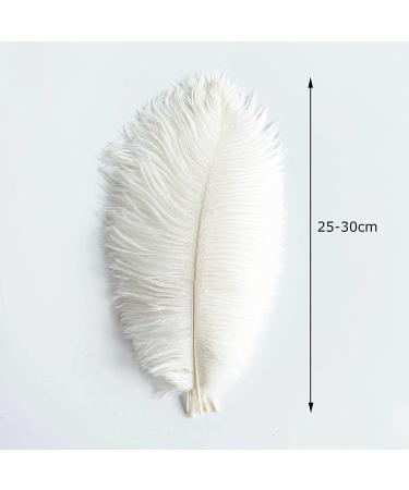 Piokio 20 pcs White Ostrich Feathers Plumes 10-12 inch | DIY Christmas & Wedding Party Decorations - Buy Online on SooperMarket.com