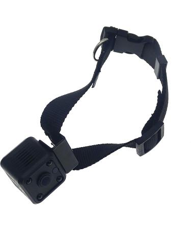 Wireless Rechargeable WiFi Pet Collar Camera Recorder Tracker - 720P HD with Night Vision - Bigger Size - Behavior Observation - Buy Online on SooperMarket.com