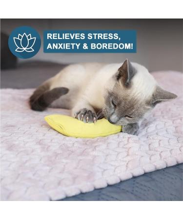 Ertzinla Catnip Toys Banana for Cats UK Banana 100% Natural Cat nip Filled - Buy Online on SooperMarket.com