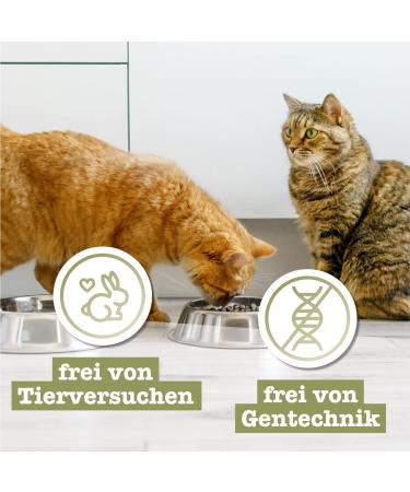 Catz Finefood MEATZ Cats Kalb N 5 - Grain-Free Veal Snacks for Cats - Crunchy & Healthy Treats 45g - Buy Online on SooperMarket.com