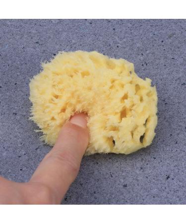 GANAZONO Esponja para Ba arse Cleaning Scrubber Shower Accessory Back Scrubber Bath Ball Shower Scrubber Bath Exfoliating Tool Bathroom Shower Ball Sponge Shower Supplies Body Baby - Buy Online on SooperMarket.com
