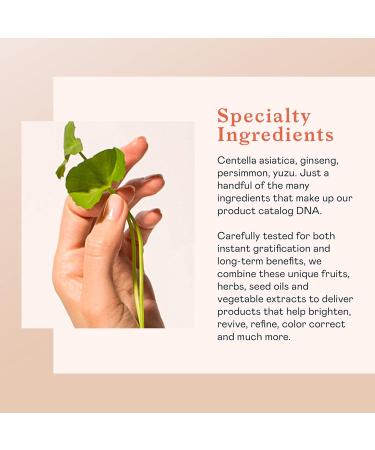 Erborian Centella Cleansing Balm - Gentle Melting Cleanser for Face & Eyes - 80g | International Shipping - Buy Online on SooperMarket.com