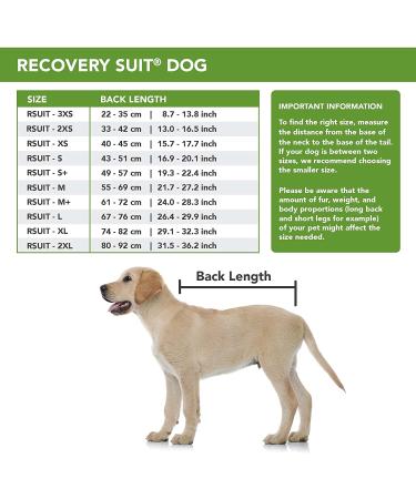 Suitical Recovery Suit for Dogs XS - Blue Camouflage | Extra Small Dog Recovery Outfit - Buy Online on SooperMarket.com