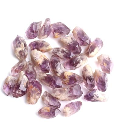 Natural Crystal Rough Natural Mini Amethyst and Citrine Crystal Cluster Point Specimen Home Decoration Collection DIY Gift (Color : Citrine Stick Size : 30g) 30g Citrine Stick - Buy Online on SooperMarket.com