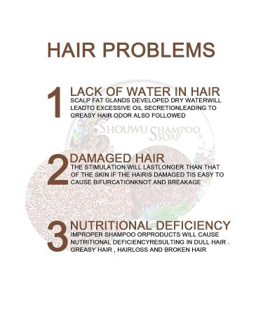 CROOT 2 PCS Hira Shouwu Darkening Shampoo Bar for Gray & Damaged Hair - Buy Online on SooperMarket.com