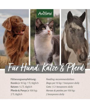 AniForte Premium Salmon Oil 500ml for Dogs, Cats, Horses & Pets - 100% Pure Norwegian Fish Oil with Omega 3, 6, EPA, DHA & ALA for Coat, Skin, Joints & Brain Health - Buy Online on SooperMarket.com