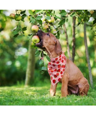 SCIROKKO Hawaii Dog Bandanas 3 Pack - Cute Fruit Print Scarf Bibs for Pets | Summer Pet Accessories for Dogs Cats - Ice Cream Strawberry Watermelon - Buy Online on SooperMarket.com