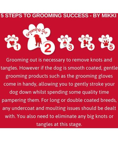 Mikki Nylon Bristle Brush - Gentle Matt and Tangle Remover for Dogs and Cats - Soft Grooming Brush in Black Teal - Size S - Buy Online on SooperMarket.com
