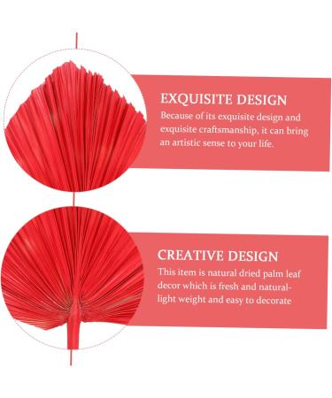 Alipis Simulated Cattail Fan Wedding Layout Palm Leaf Dried Palm Spears Home D cor Vase Art Ornament Faux Plant Italian Ruscus Woven Hand Held Fan Decor Fans Palm Leaves Hamster Monstera Red 50x28cm - Buy Online on SooperMarket.com
