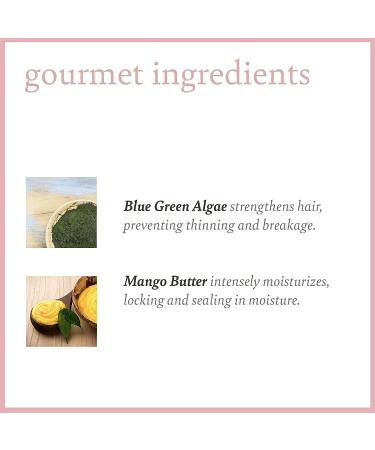 Camille Rose Algae Renew Deep Conditioning Mask - Cocoa & Mango Butter 8 oz - Buy Online on SooperMarket.com