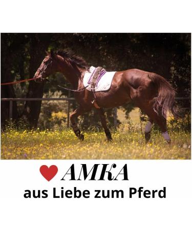 Buy AMKA Leather Cavesson with Bit Buckle - Premium Quality & Comfort for Equine Enthusiasts | International Shipping Available - Buy Online on SooperMarket.com