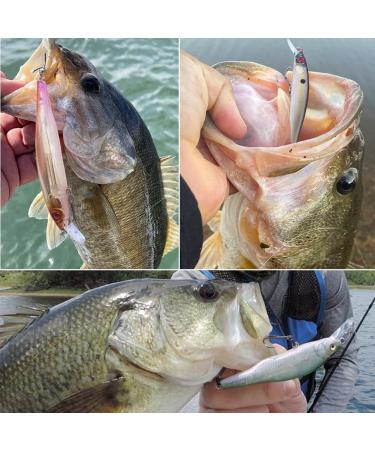 Mat Tiger Jerkbait for Bass Fishing - 85mm Minnow Lure Kit - Suspending Jerk Baits - 1 Pack - Buy Online on SooperMarket.com