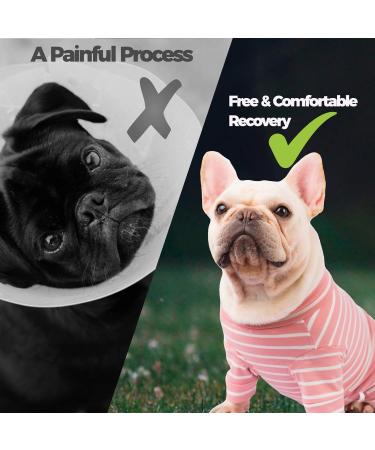 AOKAZI Hunde-Chirurgie-Genesungsanzug Welpen-Katzen-Einteiler f r Ausfallen Hautkrankheiten Wundschutz medizinischer Haustier-Chirurgischer Anzug Hunde-Pyjama (Rosa Medium) M PINK - Buy Online on SooperMarket.com