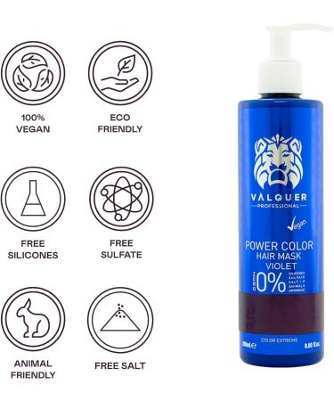 V quer Professional Power Color Mask Dyed Hair Vegan and Sulfate (Violet) Hair Colour Enhancer - 275ml - Buy Online on SooperMarket.com