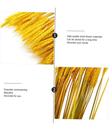 Zerodeko 100pcs Dried Wheat Ears Bouquet Decor Floral Arrangement Wheat Ear Desktop Wheat Ear Dried Flowers Bouquet Wheat Stalks Wedding Wheat Ear Flower Arrangement Dried Flowers. Barley Yellow 52X10CM - Buy Online on SooperMarket.com