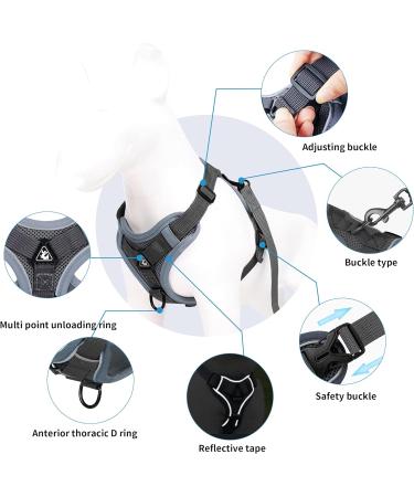 QKTYB Cat Dishes & Leash Set - Retractable Dog Leash & Cat Dishes for Kittens & Dogs (M Gray) - Perfect for Travel & Outdoor Adventures - Buy Online on SooperMarket.com