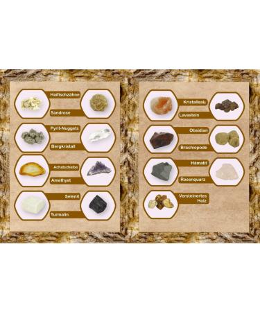 Rokkolino Treasure Chest: Real Minerals Gemstones & Fossils - Discover Nature's Treasures - Buy Online on SooperMarket.com