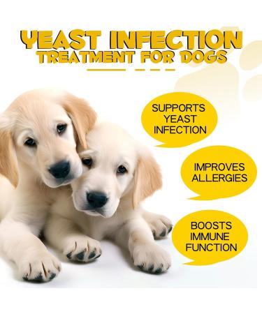 Natural Yeast Infection Drops for Dogs - Itch, Ear Infection, Allergy Relief - Herbal Bacon Flavor - 2 Fl Oz - Buy Online on SooperMarket.com