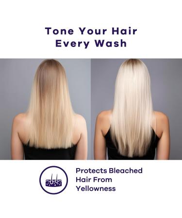 BRA Purple Shampoo & Toning Treatment Set - Acai & Barbados Cherry for Blonde Platinum Gray Ash Silver Hair - 8.33 fl oz | International Shipping Available - Buy Online on SooperMarket.com