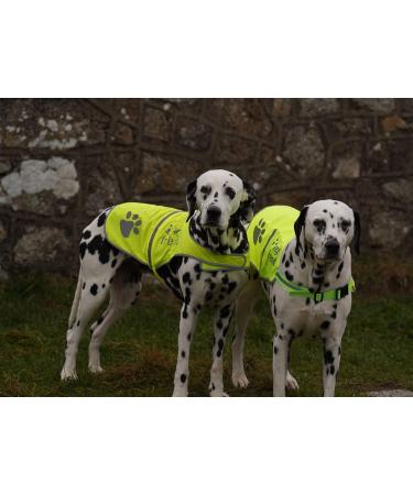Yellow Reflective Dog Safety Vest with Leash Hole - High Visibility for Outdoor Activities | 4LegsFriend (X-Small) - Buy Online on SooperMarket.com
