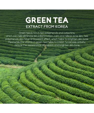 AKARY Green Tea Eye Care Cream - Eliminate Dark Circles & Eye Bags | Nourishing & Tightening Formula with Tea Leaf Extract - Buy Online on SooperMarket.com