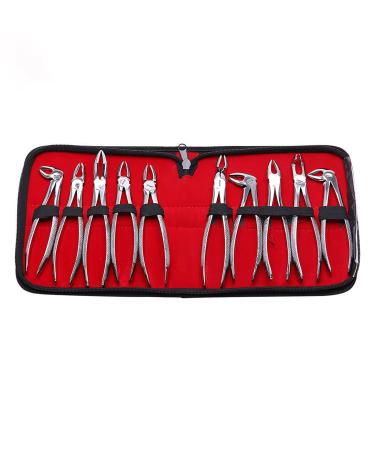 Mzlaly dance suit children dentist suit stainless steel 10 pieces of minimal invasive extraction instruments dental tongs made of stainless steel for dentist adults silver