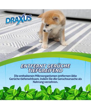 Draxus Odor Remover for Cat & Dog Urine | Microbiological Enzyme Cleaner | 10L Mixed Bottle | Effective Odor Neutralizer - Buy Online on SooperMarket.com