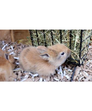 Pillow Wad Meadow Hay 1kg: Premium Quality Hay for Small Animals - Buy Online on SooperMarket.com