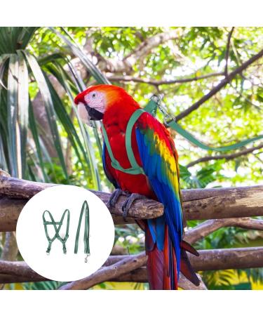 Felenny Bird Dishes & Adjustable Leash - Essential Outdoor Accessories for Scarlet Red Ara Sun Conure & Nymphensittich (Green Small) - Buy Online on SooperMarket.com