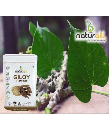 CROV Giloy Powder/Guduchi/Tinospora cordifola Powder - 500 GM X 2 1 KG by B Naturall - Buy Online on SooperMarket.com