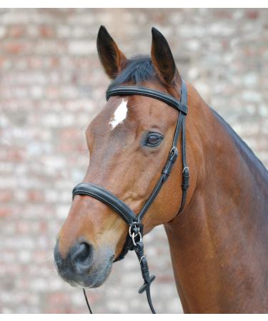 Equipride leather bridle bitless scrawbig style with soft reins full COB Pony (Cob)