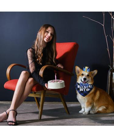 WLLHYF Dog Birthday Party Supplies Boy Dog Birthday Bandana Set with Cute Dog Bow Tie Dog Birthday Crown Hat with Numbers Small Medium Large Dogs(Blue) - Buy Online on SooperMarket.com