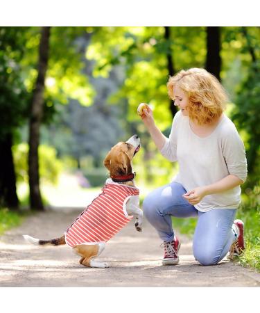 WLLHYF After Surgery Dog Recovery Onesie Comfortable Puppy Post Neuter Surgery Shirt Cone Alternative Wound Protective Body Suit Clothes for Large Small Dogs (Pink White Stripe) (Small) - Buy Online on SooperMarket.com