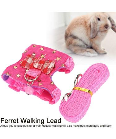 Small Animal Dishes & Leash Set for Squirrels Hamsters Ferrets & Guinea Pigs | Perfect Pet Accessories - Buy Online on SooperMarket.com