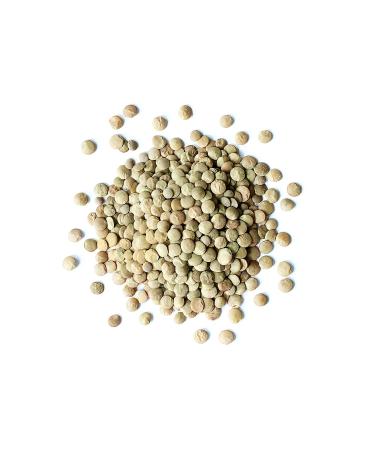 Organic Whole Green Lentils 10 lbs - Non-GMO Raw Beans, Vegan & Kosher - High in Folate, Fiber & Protein - No Soaking Required - Ideal for Soups & Veggie Burgers - Buy Online on SooperMarket.com