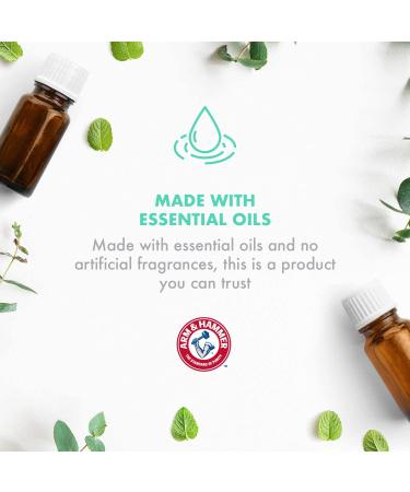 Arm & Hammer Pet Odor Eliminator Room Spray | 10 oz Eucalyptus Mint Fragrance | Baking Soda Pet Deodorizer | Eucalyptus Mint Reed Diffuser - Buy Online on SooperMarket.com