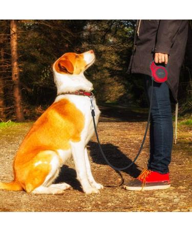 Sidewinder 360 Tangle-Free Retractable Dog Lead - Anti-Slip Handle, Easy Lock & Release - 5M Adjustable Long Leash - Strong Nylon Ribbon - Blue - Buy Online on SooperMarket.com