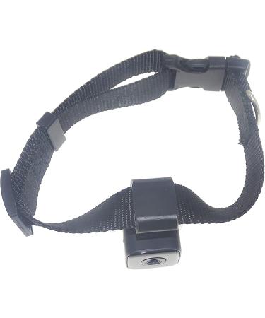 Pet Collar Cam DVR: Video Recorder & Monitor for Dogs, Cats, and Puppies - Buy Online on SooperMarket.com